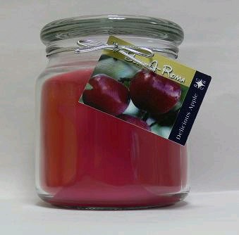 Hand Made Scented Soy 16oz Classic Jar Candle - Delicious Apples