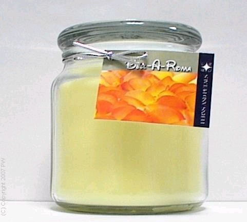 Hand Made Scented Soy 16oz Classic Jar Candle - Ferns & 