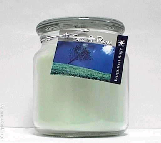 Hand Made Scented Soy 16oz Classic Jar Candle - Forgotte