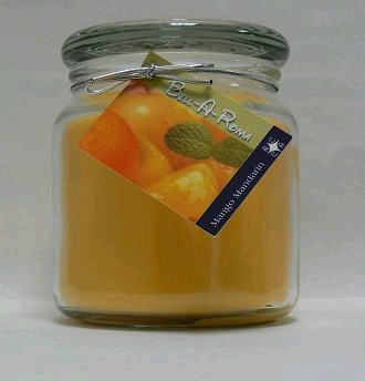 Hand Made Scented Soy 16oz Classic Jar Candle - Mango Mandarin