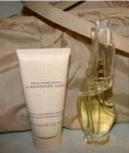 Cashmere Mist by Donna Karan 2 piece gift set for women