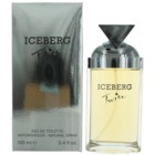 Iceberg Twice by Iceberg, 3.4 oz Eau De Toilette Spray for women.