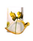 Summer by Kenzo 25 oz Eau De Parfum Spray for women