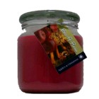 Hand Made Scented Soy 16oz Classic Jar Candle Apple Cinnamon
