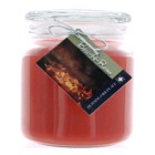 Hand Made Scented Soy 16oz Classic Jar Candle Burning Fire Place