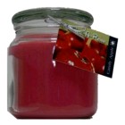 Hand Made Scented Soy 16oz Classic Jar Candle Candy Apple