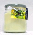 Hand Made Scented Soy 16oz Classic Jar Candle - Citrus Basil