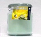 Hand Made Scented Soy 16oz Classic Jar Candle Cucumber Melon