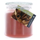 Hand Made Scented Soy 16oz Classic Jar Candle Cinnamon Sticks