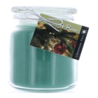 Hand Made Scented Soy 16oz Classic Jar Candle Christmas Tree