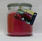 Hand Made Scented Soy 16oz Classic Jar Candle Delicious Apples