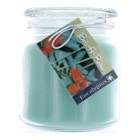 Hand Made Scented Soy 16oz Classic Jar Candle Eucalyptus c16ec Hand Made Scented Soy 16oz Classic Jar Candle Eucalyptus