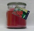 Hand Made Scented Soy 16oz Classic Jar Candle Holly Berry