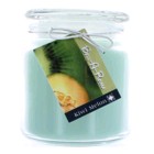 Hand Made Scented Soy 16oz Classic Jar Candle - Kiwi Melon