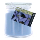 Hand Made Scented Soy 16oz Classic Jar Candle - Lavender