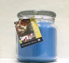 Hand Made Scented Soy 16oz Classic Jar Candle Mountain Berry