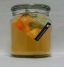 Hand Made Scented Soy 16oz Classic Jar Candle - Mango Mandarin