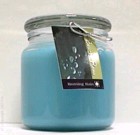 Hand Made Scented Soy 16oz Classic Jar Candle Morning Rain