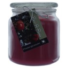 Hand Made Scented Soy 16oz Classic Jar Candle Pomegranate