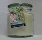 Hand Made Scented Soy 16oz Classic Jar Candle Peppermint