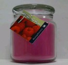 Hand Made Scented Soy 16oz Classic Jar Candle - Raspberry