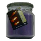 Hand Made Scented Soy 16oz Classic Jar Candle Sensual