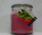 Hand Made Scented Soy 16oz Classic Jar Candle Strawberry Kiwi