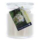 Hand Made Scented Soy 16oz Classic Jar Candle Ylang Ylang