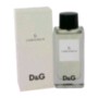 D&G Anthology L