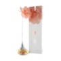 Pupa Air De Feo Perfume by Pupa, 2.53 oz Eau De Toilette Spray Air 1 for women